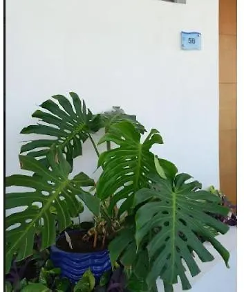 Mi Apartamento En Cartagena